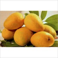 Badami Mango 1 box (4 -6 pieces)
